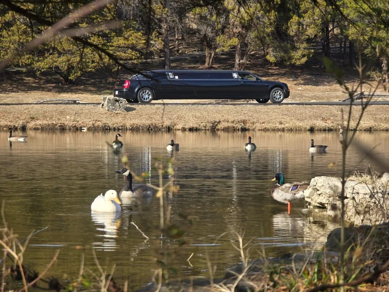 Black luxury limo parked by a scenic pond — Unique Rides Transportation Springfield MO